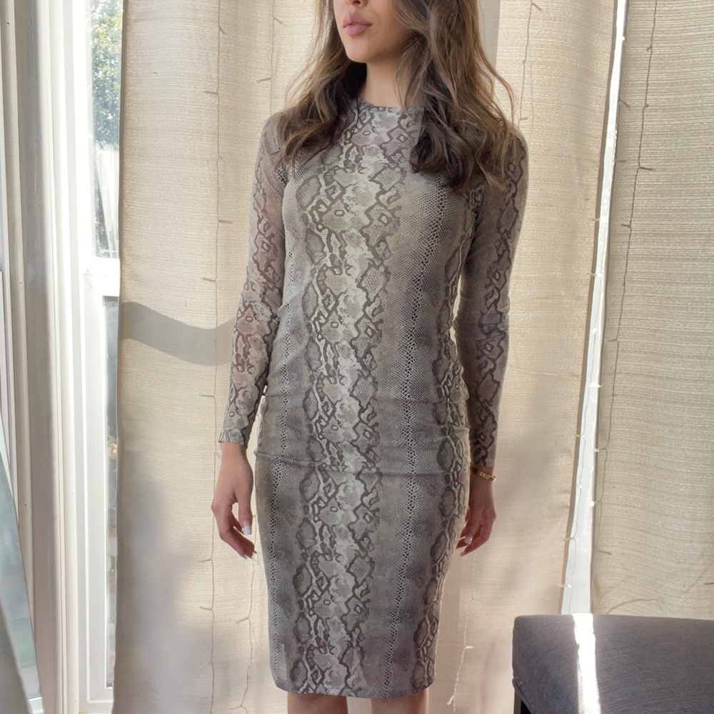 Long Sleeve Mesh Midi Dress